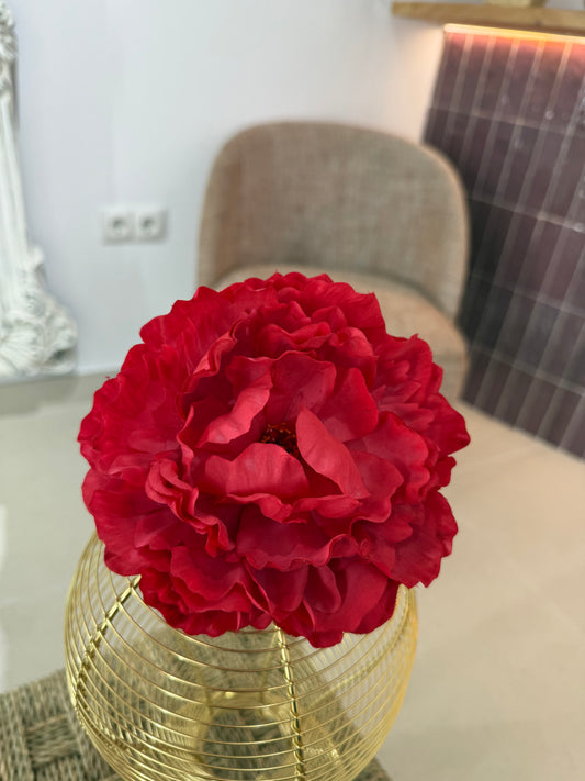 PEONÍA GUINDA (247)