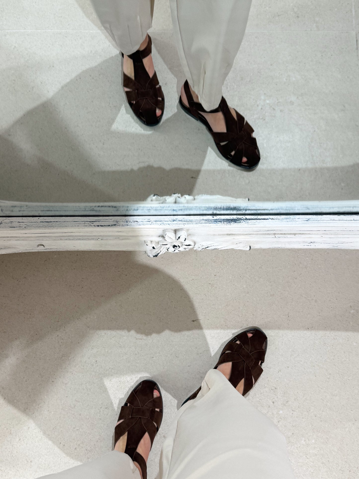 CANGREJERAS ANTE MARRÓN