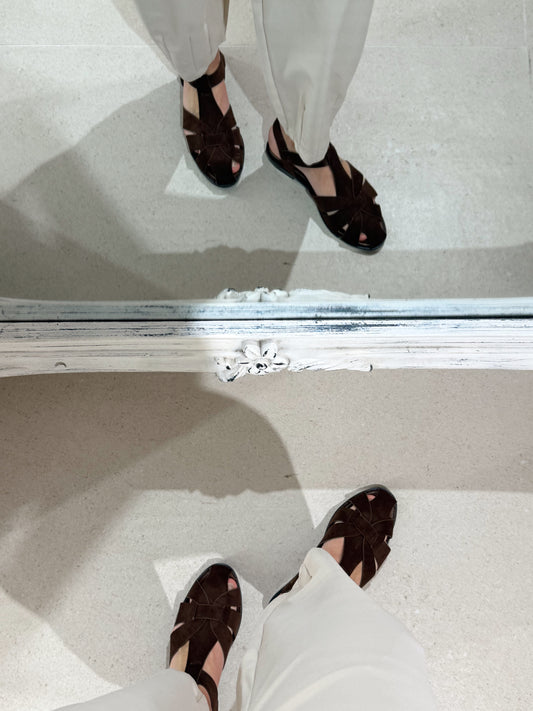 CANGREJERAS ANTE MARRÓN