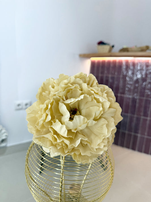 PEONÍA BEIGE CLARO (124)