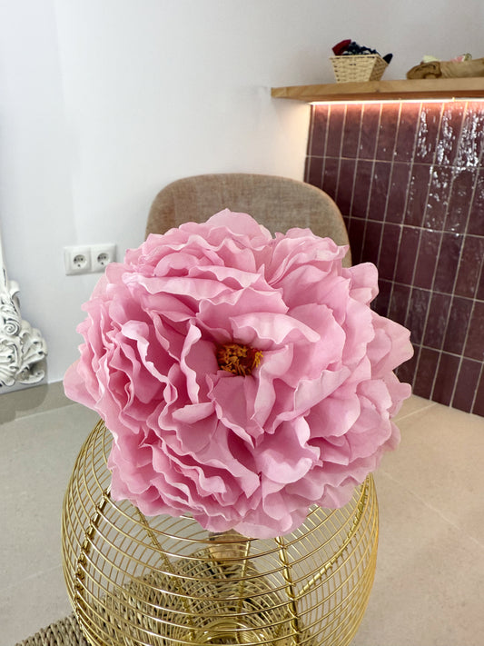 PEONÍA ROSA MALVA (235)