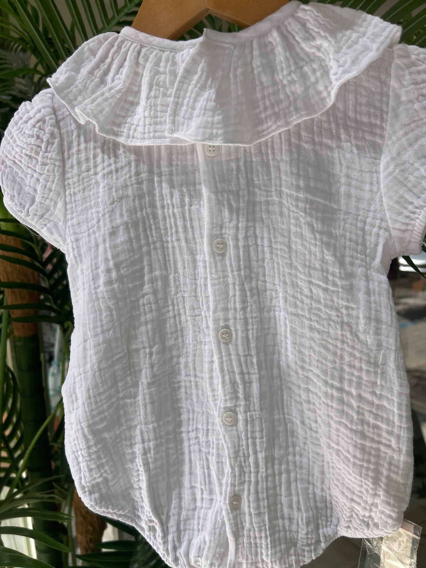 Bambula blanca