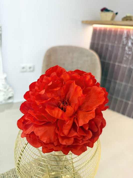 PEONÍA ROJO GITANO (63)